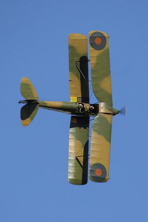 Tiger Moth Display