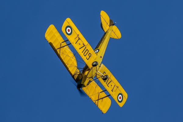 IMG 9634