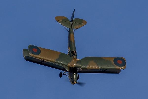 IMG 9646 Crop